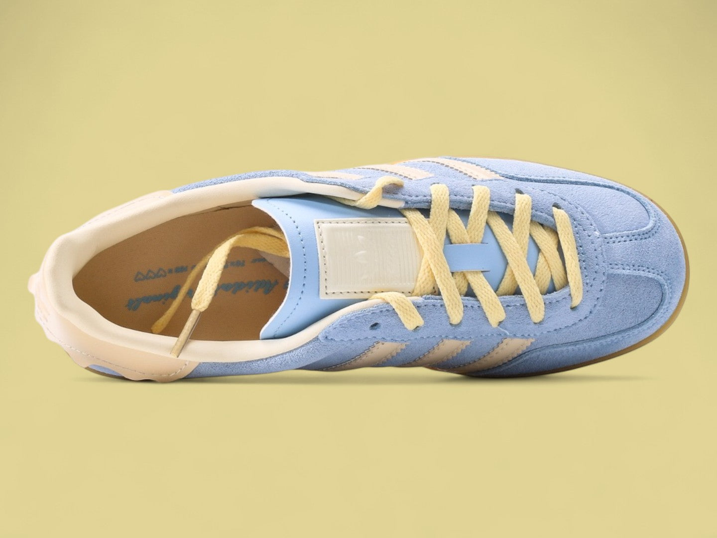 Gazelle Indoor 'Light Blue Yellow Gum'