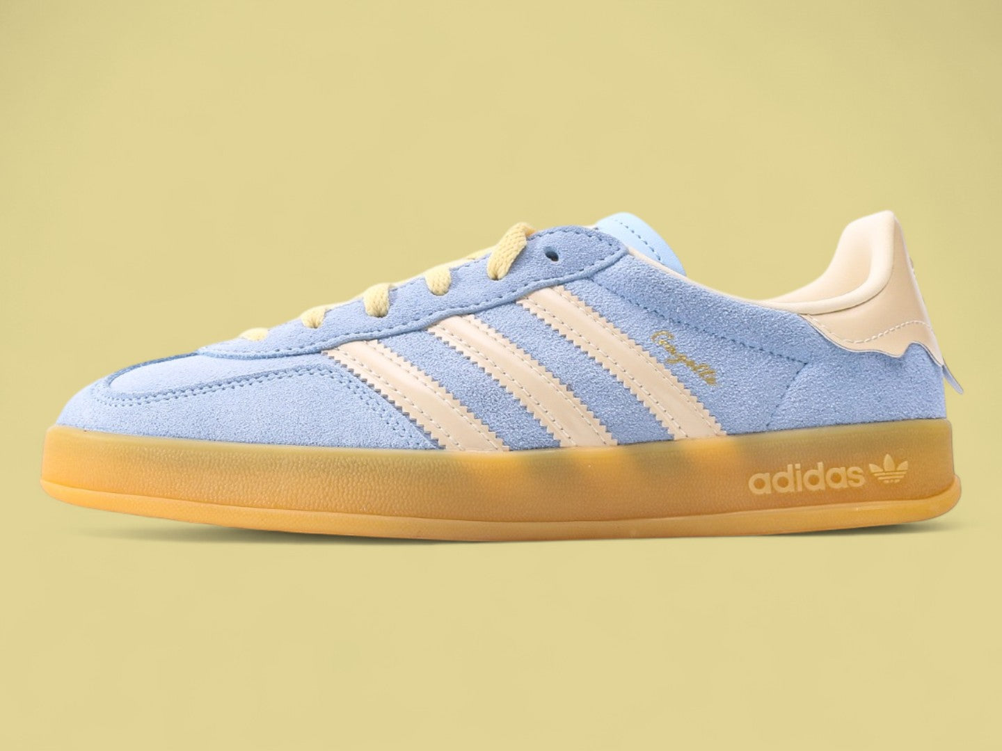 Gazelle Indoor 'Light Blue Yellow Gum'